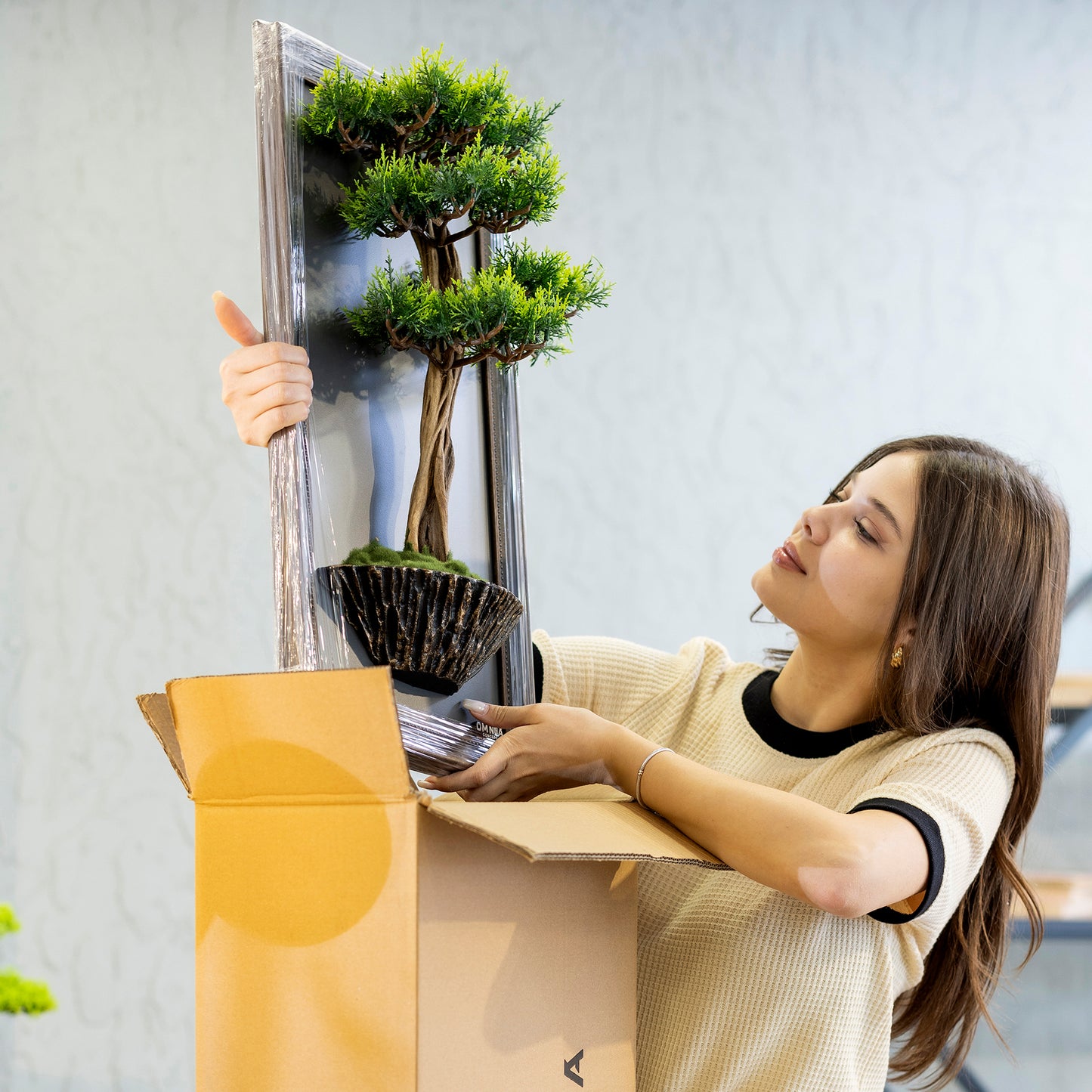 Bonsai Tree Tableau - 1 - Tree Portrait, Tree Wall Art, Tree Wall Decor, Wallboard, Home Decoration, Handmade