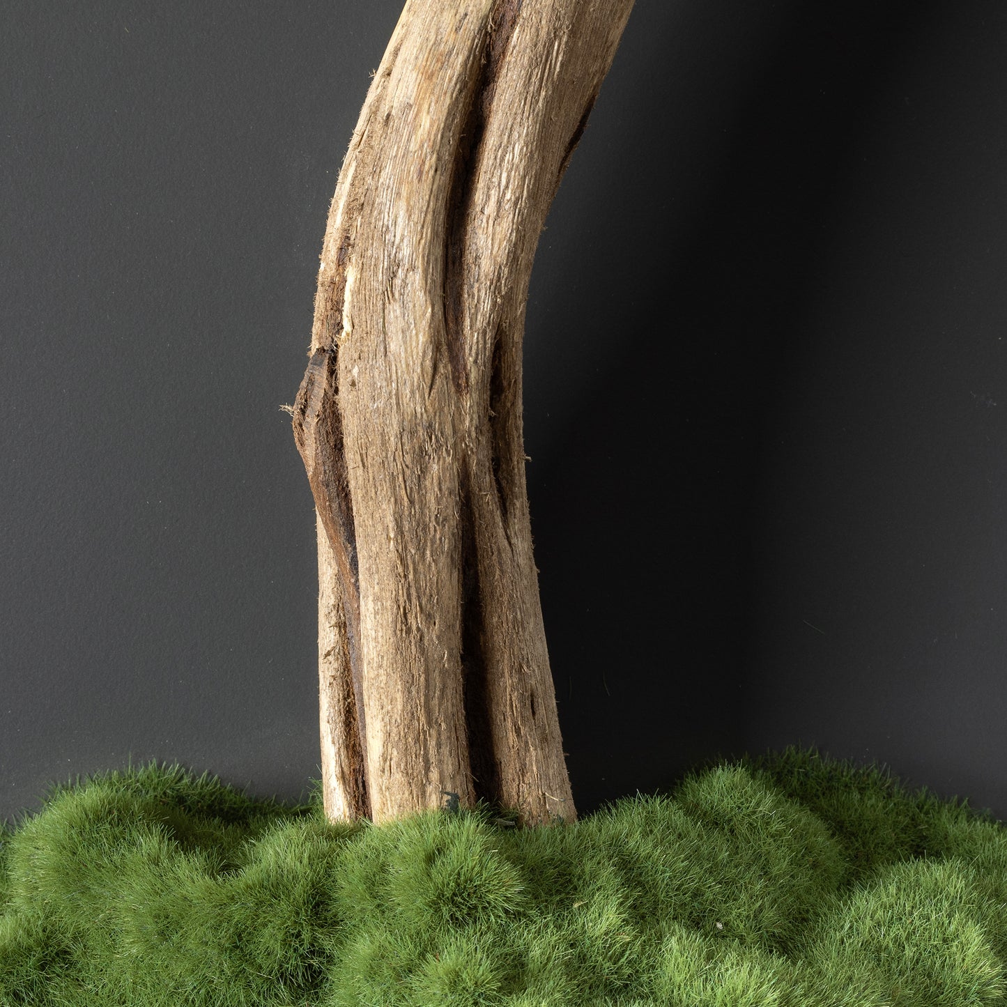 Bonsai Tree Tableau - 6 - Tree Portrait, Tree Wall Art, Tree Wall Decor, Wallboard, Home Decoration, Handmade